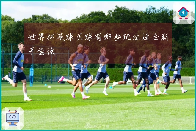 世界杯滚球买球有哪些玩法适合新手尝试