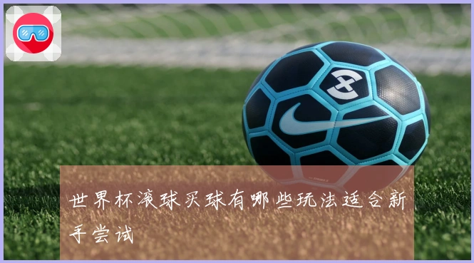 世界杯滚球买球有哪些玩法适合新手尝试