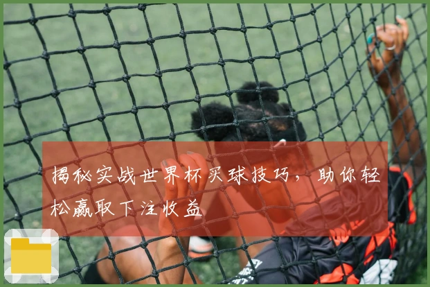揭秘实战世界杯买球技巧，助你轻松赢取下注收益