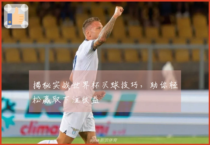 揭秘实战世界杯买球技巧，助你轻松赢取下注收益