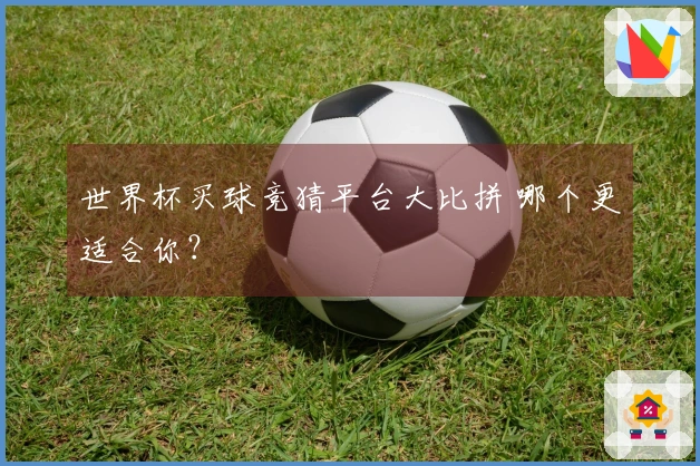 世界杯买球竞猜平台大比拼 哪个更适合你？